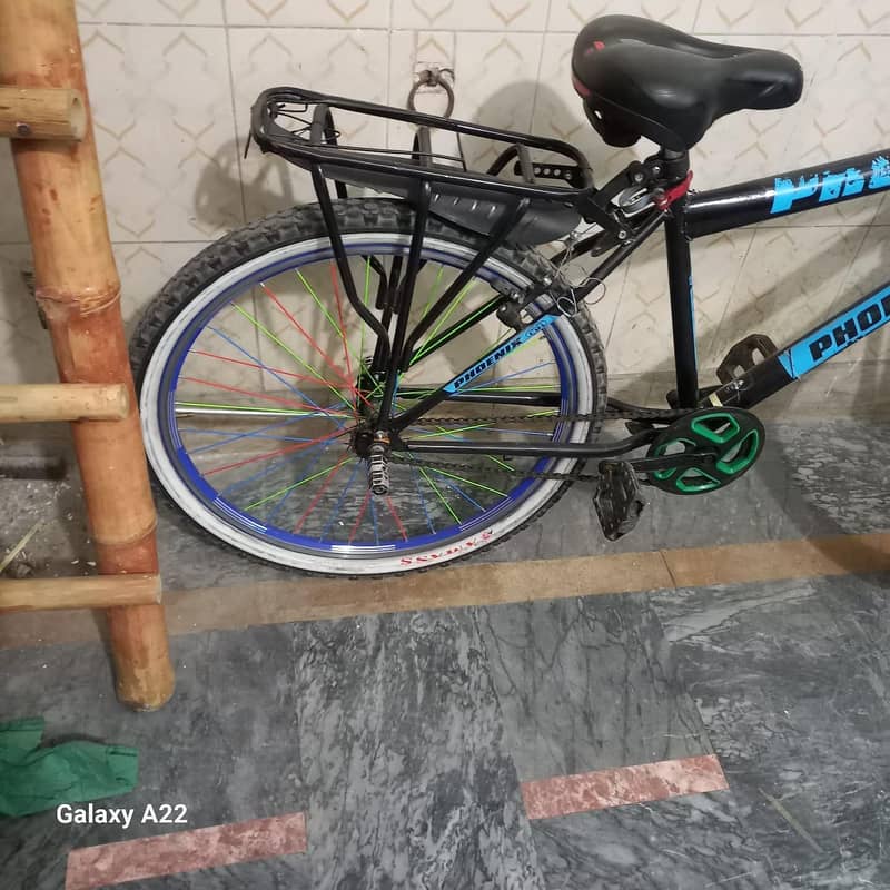 phoenix cycle 4
