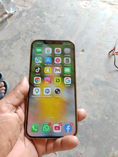 iphone 12 pro max Gold