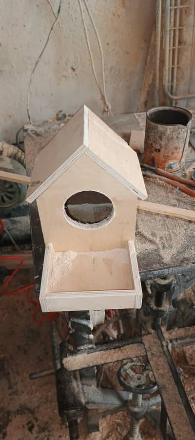 Bird Home