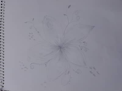 flower sketch