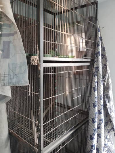 Birds Cages
