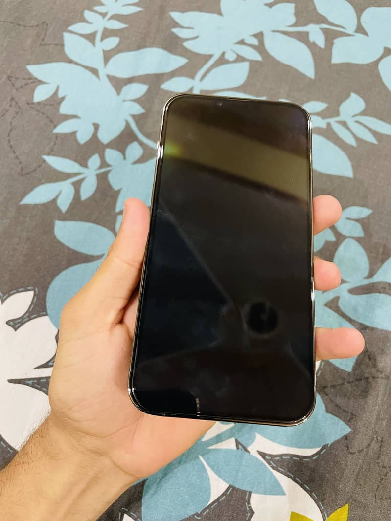 iPhone 13 Pro Max 10