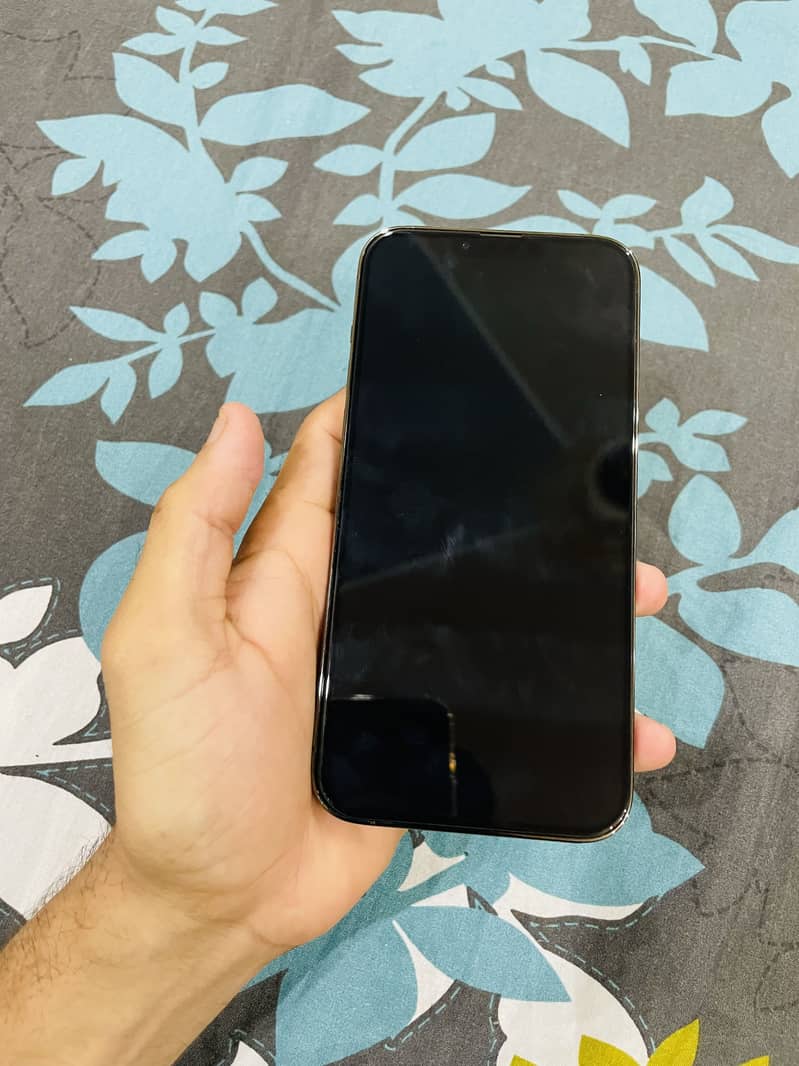 iPhone 13 Pro Max 11