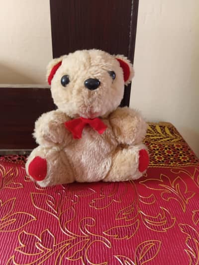 Teddy  for sale