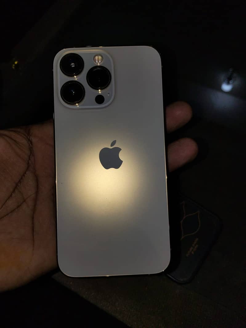 Apple iPhone 13 0