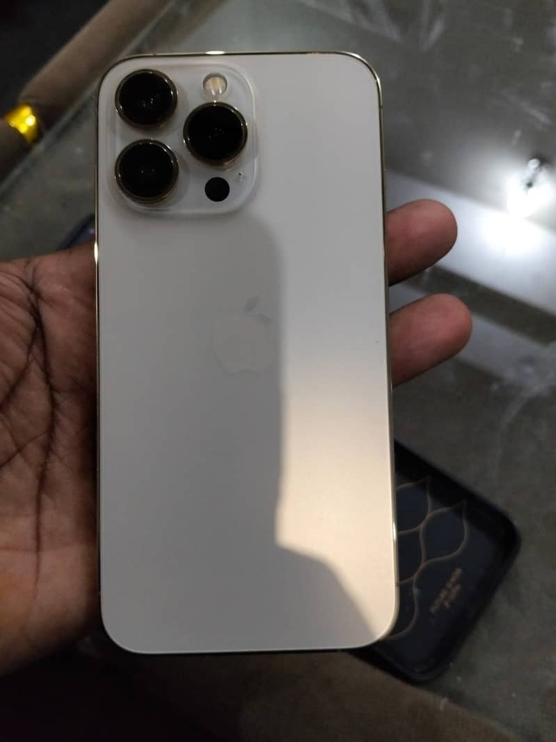 Apple iPhone 13 1