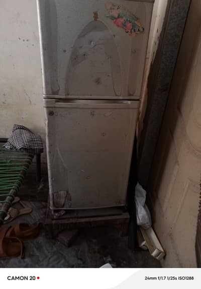 dawlance medium fridge