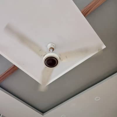 royal fan