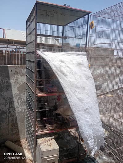 7500 love bird cage