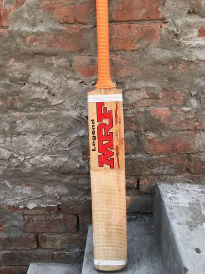 cricket bat