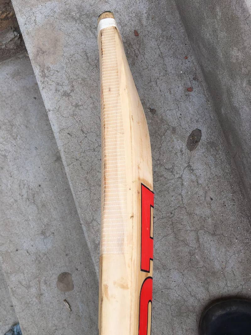 cricket bat 2
