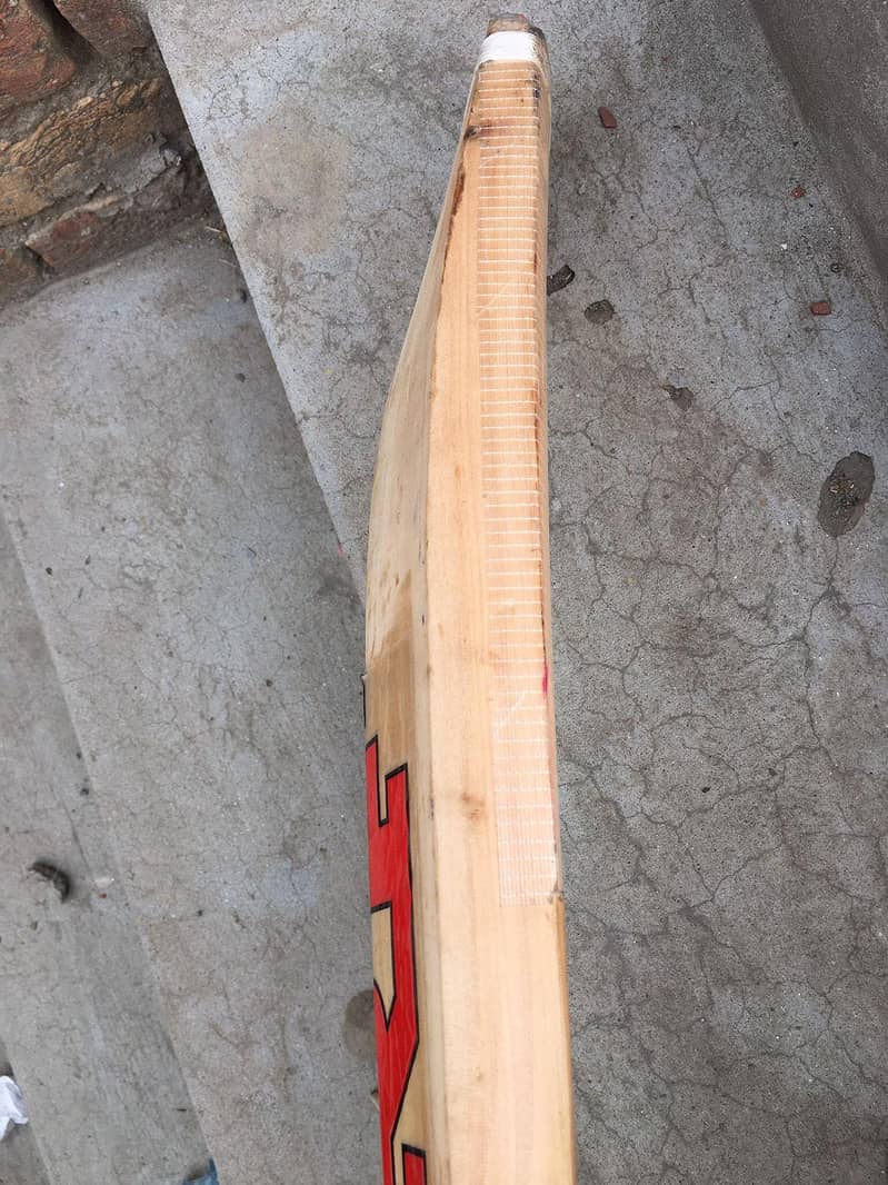 cricket bat 4