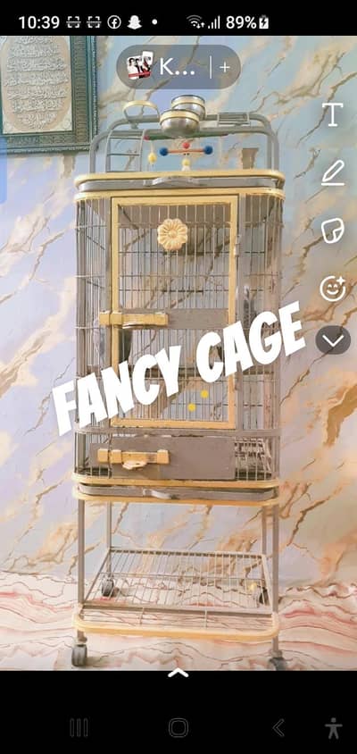 African gray  pier with fancy cage