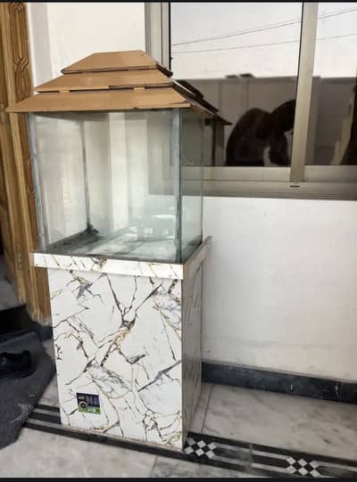 Fish aquarium for sale