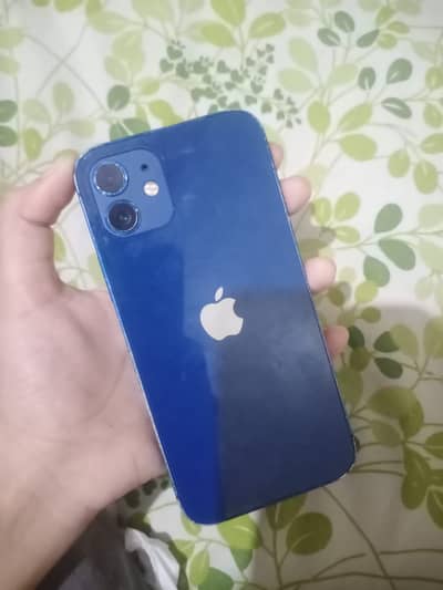 Apple iPhone 12