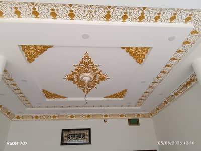 painters service house and office in mandi budadin