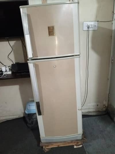 Dawalance Original Condition Fridge 10/10