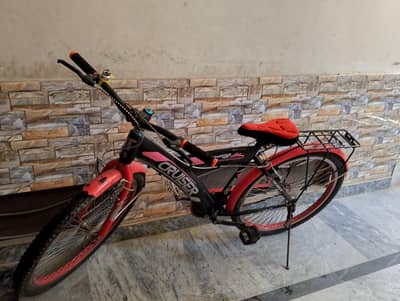 new cycle