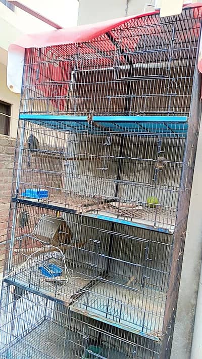 Large Iron Cage 8 boxes urgent sale