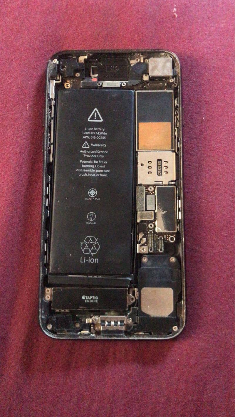 iPhone 7 1