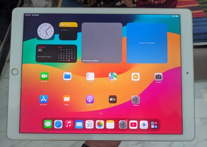 iPad Pro 12.9" [2nd gen] | 64GB | 120Hz Pro Motion | Condition: 9/10