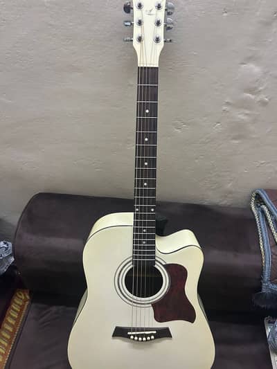Professional guitar