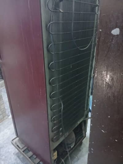 dawlance fridge condition tk h