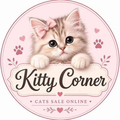 kitty corner 