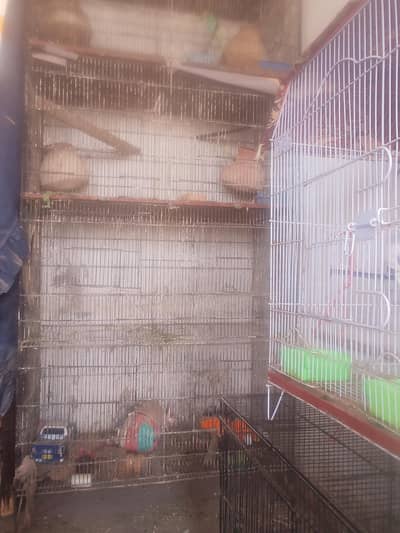 Cage (Pinjra) for sel