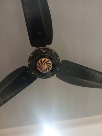 Ceiling Fan for sell