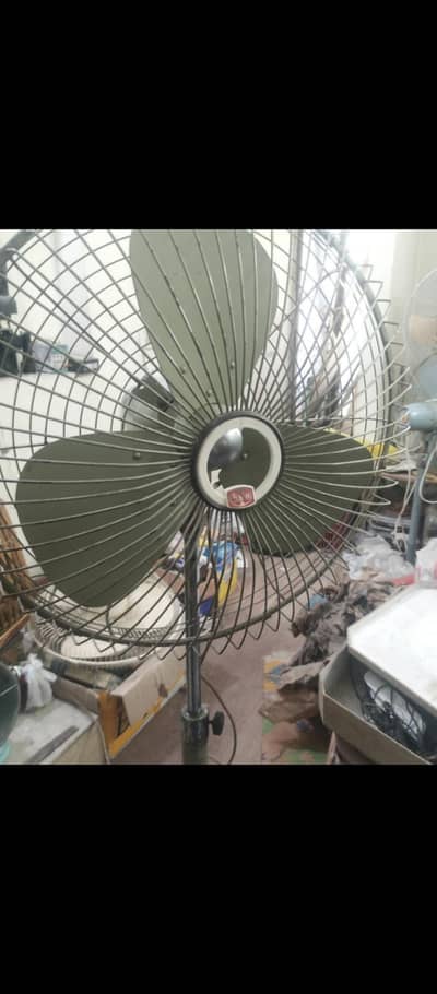 20inch Asia Pedestal