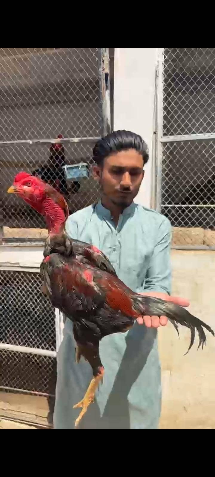 ماشاءاللہ بہت اچھا پٹھا ہے 2