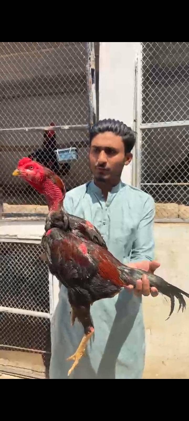 ماشاءاللہ بہت اچھا پٹھا ہے 3