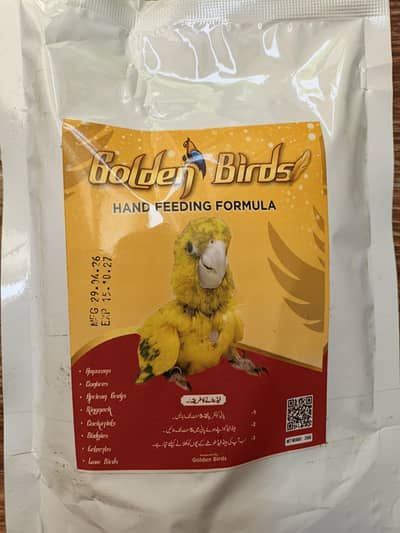 Parrott Hand Feed