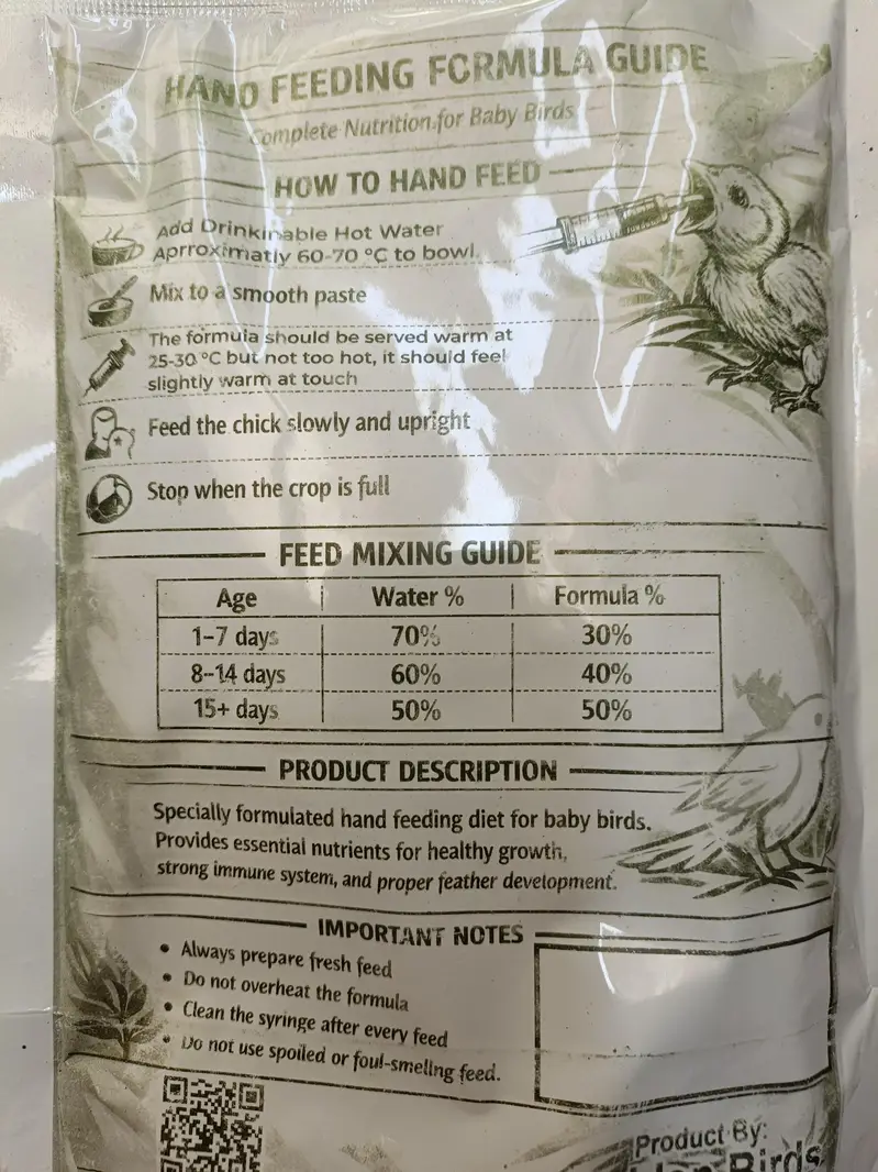 Ring Neck Parrot Hand Feed — photo 2