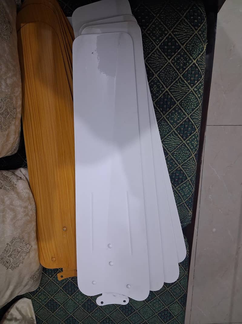 Ceiling Fans 1