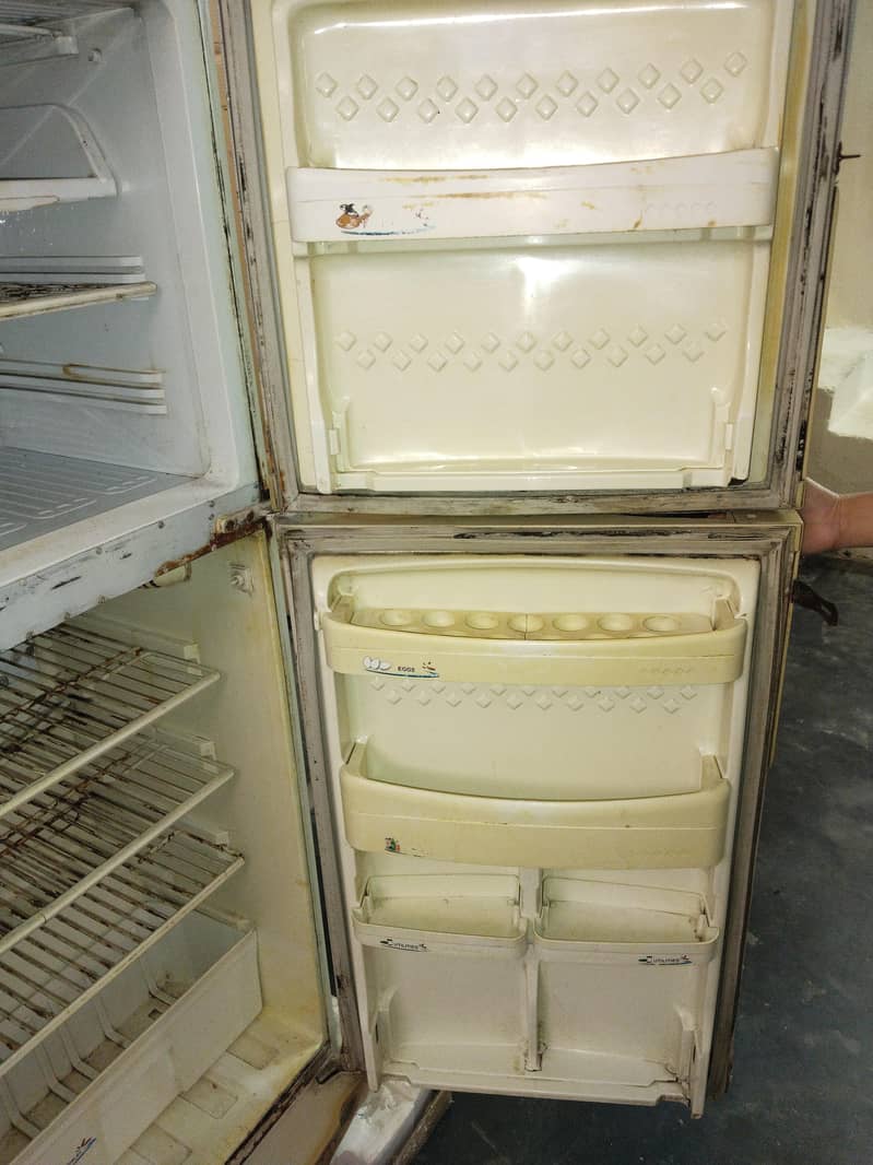medium size refrigerator 1