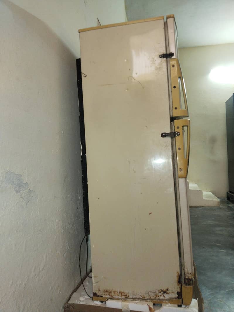 medium size refrigerator 2