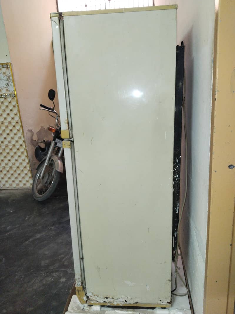 medium size refrigerator 4