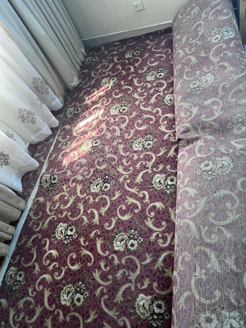 Carpet 0