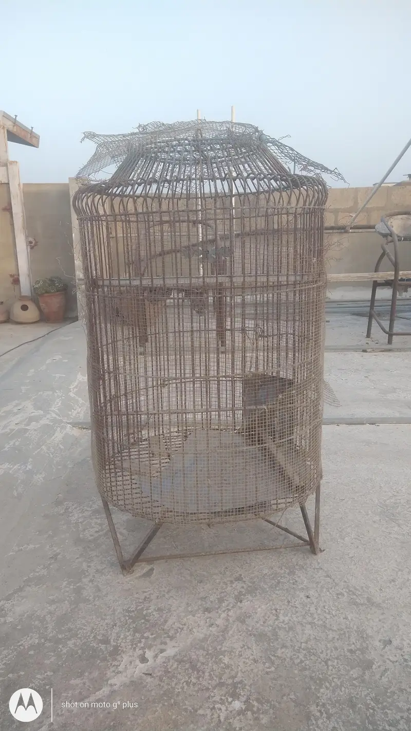 different  iron cages different prices — photo 2
