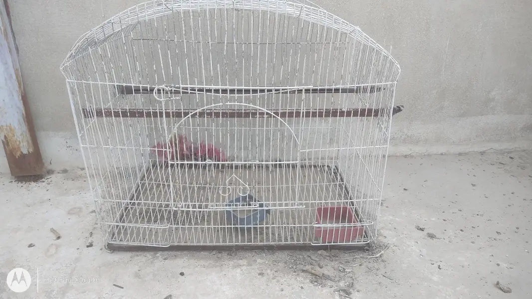 different  iron cages different prices — photo 3