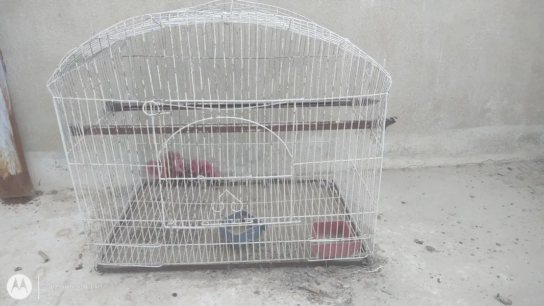 different  iron cages different prices — photo 4