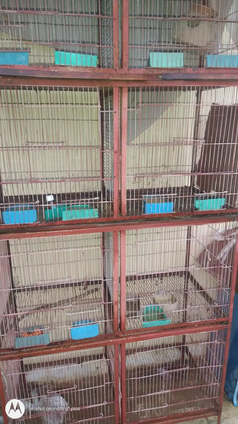 different  iron cages different prices — photo 5
