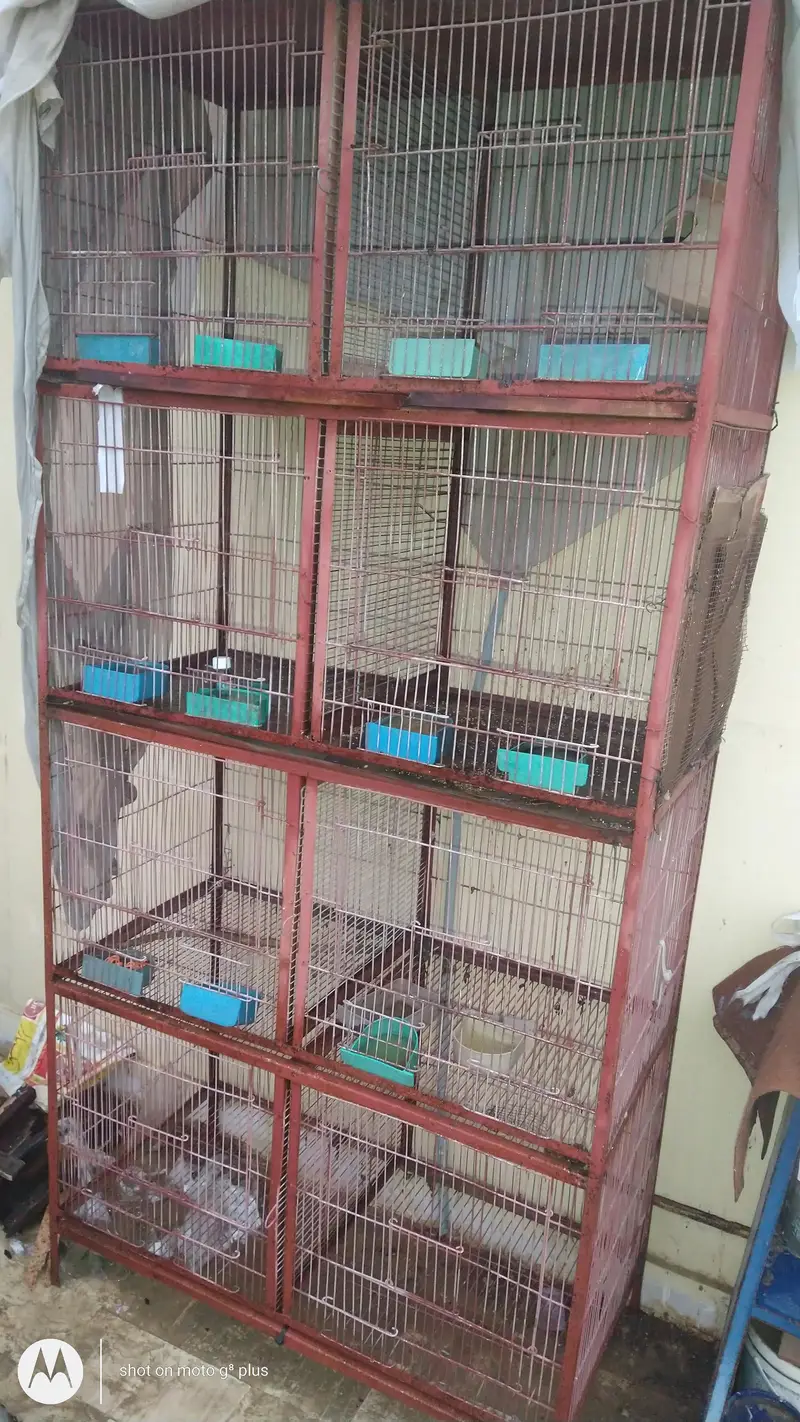 different  iron cages different prices — photo 6