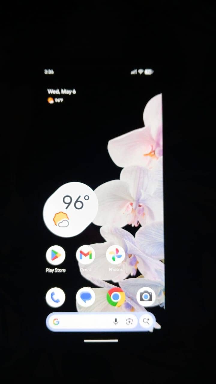 Google 6 4
