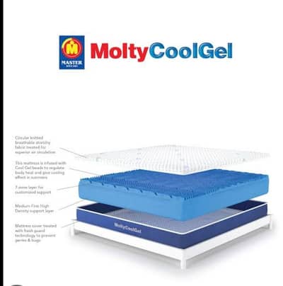 dubble bed mattress master Molty foam