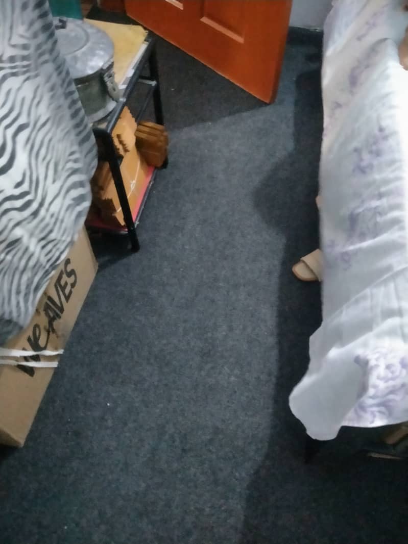 Carpet 0
