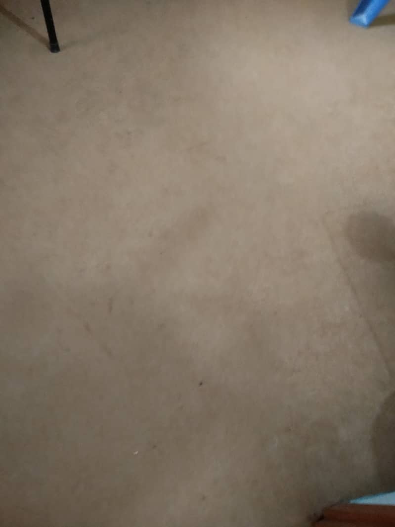 Carpet 2