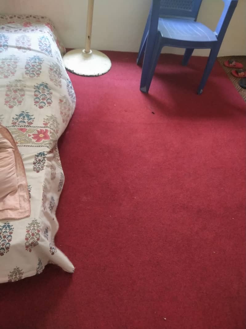 Carpet 4